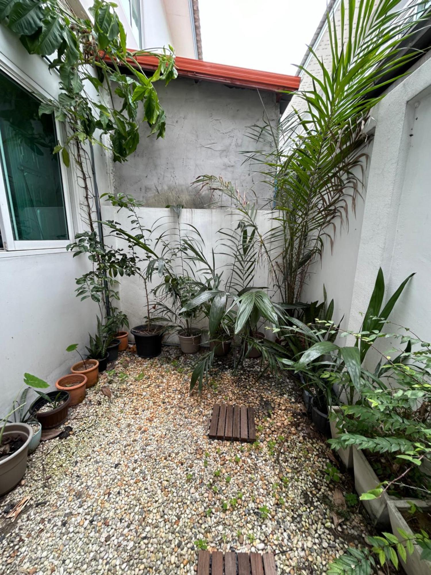 ไนซ์สเตย์ เฮาส์ แอทคลองสาม รังสิต คลองหลวง ปทุมธานี Nice Stay House At Khlong Sam - Rangsit - Khlong Luang - Phathumthani エクステリア 写真