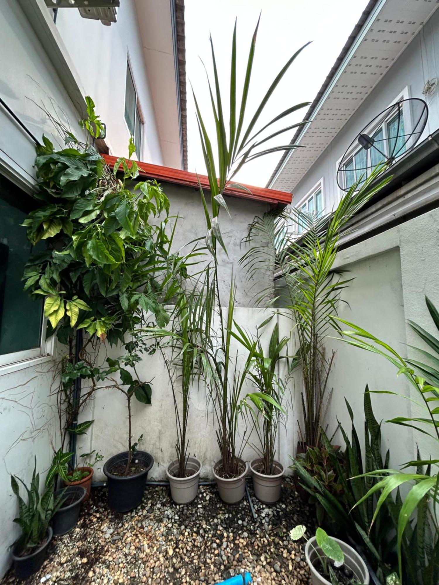 ไนซ์สเตย์ เฮาส์ แอทคลองสาม รังสิต คลองหลวง ปทุมธานี Nice Stay House At Khlong Sam - Rangsit - Khlong Luang - Phathumthani エクステリア 写真
